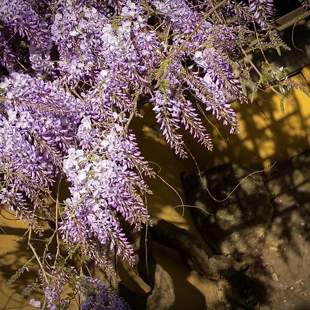 River Dream * Florens